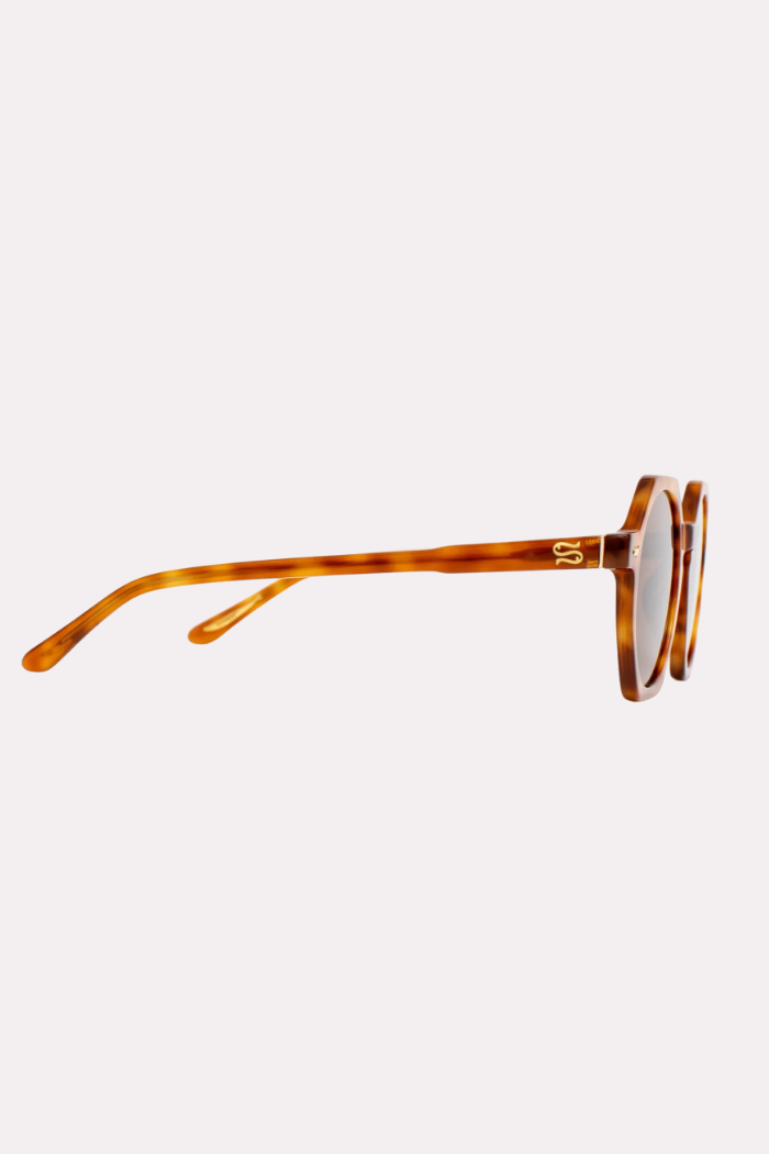 Sunglasses with tortoiseshell frame on a white background